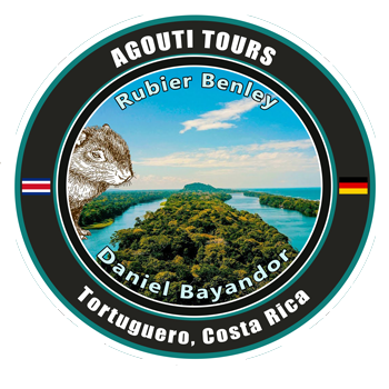 Agouti Tours Tortuguero Costa Rica